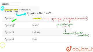 Zymogen cells are found in [upl. by Sheya638]