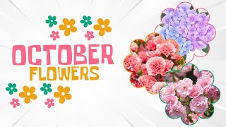 October flowers 7 most beautiful and vibrant flowers blooming in October flower october [upl. by Atsirk611]