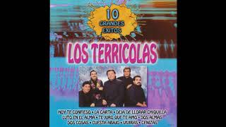 Los Terricolas  10 Grandes Exitos Disco Completo [upl. by Kameko]