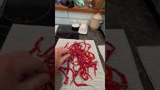 Dehydrating Are they dried enough Cayenne pepper experimentthey need to be cut open dehydrating [upl. by Mori]