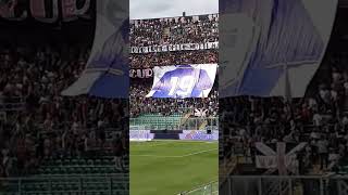 Palermo Cesena omaggio a Totò schillaci settembre 20242 [upl. by Roxie]