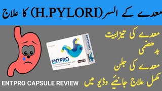 Entpro capsules uses in Urdu  hpylori treatment  entpro capsules dosage  entpro capsules [upl. by Belloir]