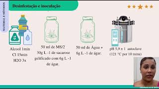 Estabelecimento in vitro de sementes de Micranthocereus purpureus e Cereus jamacaru [upl. by Colt545]