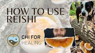 How To Use Reishi Mushrooms After Harvesting [upl. by Roane942]