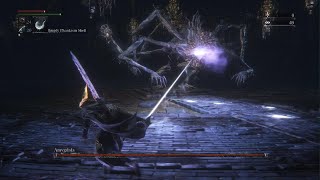 Bloodborne  Amygdala boss Defiled Chalice [upl. by Tosch998]