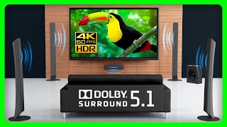 The BEST Dolby 51 Surround Sound Demo Nature Sounds 🍃 [upl. by Yrral]