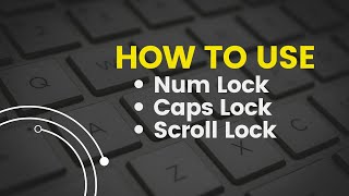 How To Use Num Lock Button  How To Use Scroll Lock Button  How To Use Caps Lock Button Tutorial [upl. by Klingel]