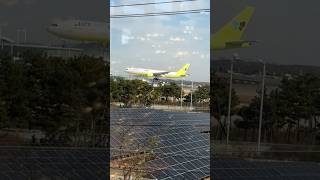 Shandong Airlines Ups Jin Air Air China Asiana Airlines Tway landing [upl. by Annasus152]