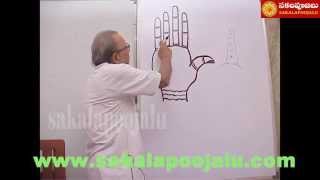 PALMISTRY PART  5 IN HINDI [upl. by Muldon]