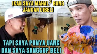 IKAN DI OM ARIS MAHALMAHAL INI JAWABAN OM ARIS BIAR KALIAN GAK GAGAL PAHAM YAA GUYS [upl. by Gnad315]