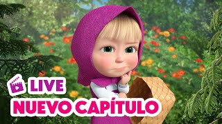 🔴 LIVE 🐻👧 Masha y el Oso 💥 NUEVO CAPÍTULO 🍓🐸 Bayas Traviesas 🎬 Masha and the Bear [upl. by Henni]