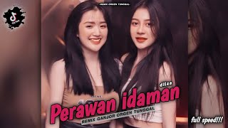 Dj perawan idaman  remix ganjor orgen tunggal  by rudas project [upl. by Aserret807]