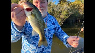 Bass Fishing on Sam Rayburn [upl. by Lief806]