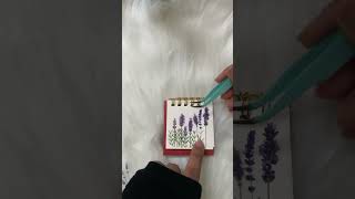 Lavender blossom 🌸 shorts journaling [upl. by Donahue]