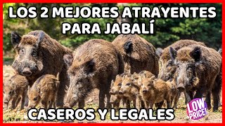 🔴 Crea 2 Atrayentes para Jabalí Caseros Muy Fácil y usarlos eficaces Como atraer puerco chancho [upl. by Brunhild]