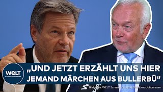 DEUTSCHE WIRTSCHAFT quotJeden Monat wird die Situation schlimmerquot  Kubicki schießt gegen Habeck [upl. by Iaras884]