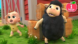 Baa Baa Black Sheep Song More Lalafun Nursery Rhymes amp Kids Songs [upl. by Safoelc]