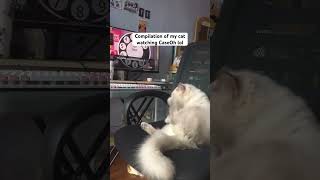 I always caught him watching whenever I watch CaseOh lol cat catsofyoutube fypyoutube caseoh [upl. by Dix]