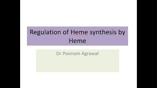 REGULATION OF HEME BIOSYNTHESISI ALA SYNTHASE 1 ENZYME I REPRESSION GENE [upl. by Eppesuig]