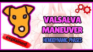 Physiology Hemodynamics of a Valsalva maneuver [upl. by Rimhsak]