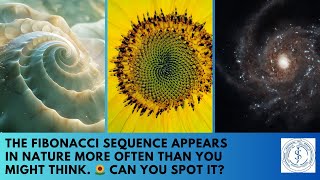 The Fibonacci sequence appears in nature more often than you might think 🌻 Can you spot it [upl. by Detta]