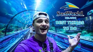 The Best Things to do at SeaWorld Orlando in 2023  Coaster Capital of Orlando [upl. by Nairdna792]