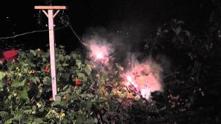 Tree Branch versus 11000 Volts [upl. by Idarb]