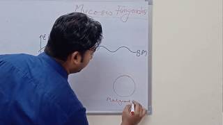 Mycosis Fungoides and Sezary Syndrome [upl. by Fregger]