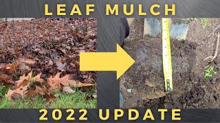 Autumn Leaf Mulch 2022 Update [upl. by Wester]