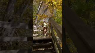 Climbing Georgia’s Tallest Waterfall Amicalola Falls in Stunning Fall Colors [upl. by Kaiulani598]