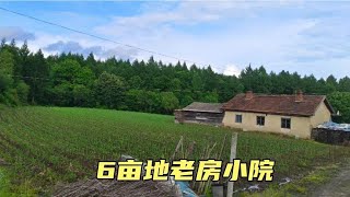 这个独栋小院，6亩地大道边，土房瓦盖满满都是老房子的回忆 [upl. by Airdnat]