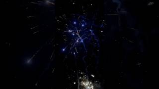 Blue Stars 🤩 firework fürdich silvester argento [upl. by Ilak75]