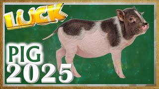 Pig Horoscope 2025  Luck  Born 2019 2007 1995 1983 1971 1959 1947 1935 [upl. by Pall]