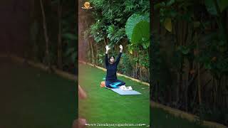 🕉️ Pranayama and Meditation  Yoga Journey in Rishikesh India  Yoga Teacher Training Course [upl. by Migeon937]