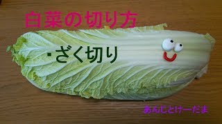 野菜の切り方 ～白菜のざく切り～ [upl. by Enihpled]