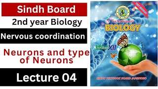 neurons and types of neurons  nervous coordination class 12 biology Sindh board New book [upl. by Emili]