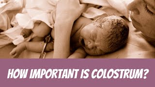 Why Is Colostrum Important [upl. by Darach]