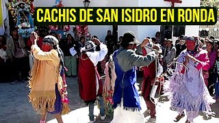 CACHIS de San Isidro Iruya en ronda y quotRubioquot  Fiesta Patronal 2017 [upl. by Shadow]