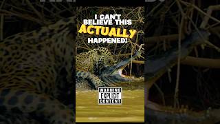 You wont BELIEVE this Jaguar Vs Crocodile Fight😲 [upl. by Chapland]