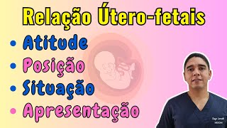 Relação Úterofetais ESTÁTICA FETAL [upl. by Caputto357]