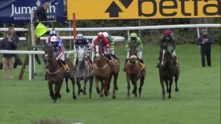 2 Miles 13 Fences 1 Winner A Tingle Creek Chase short [upl. by Kovacev]