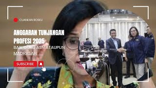 PENJELASAN MENTRI KEUANGAN TENTANG TUNJANGAN PROFESI GURU DIDEPAN KOMISI XI DPR RI [upl. by Allimaj]