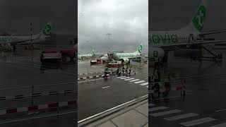 Transavia Boeing 737800 Turn around process [upl. by Assi719]