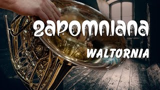 Zapomniana waltornia Czyli subiektywnie o tym czemu waltornia to nietypowy instrument [upl. by Yesnek]