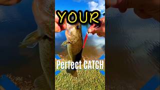 Swimbait Bass Catch 🎣 Epic Fishing on the Lake  Your Perfect Catch shorts [upl. by Dumond]