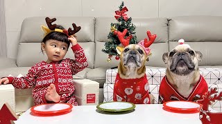 2 Dogs And A Baby Have Christmas Feast  HELP Things Nearly Went ALL WRONG [upl. by Sirtaeb]