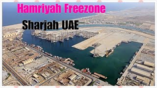 Hamriyah Freezone SharjahUAEworkplace [upl. by Codd]