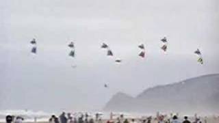 Kite Competition2  Lincoln City Oregon [upl. by Inacana]