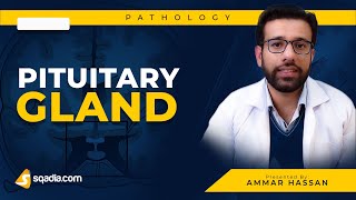 Pituitary Gland  1 Hypopituitarism  Medical Pathology  Video Lecture  VLearning [upl. by Yajiv273]