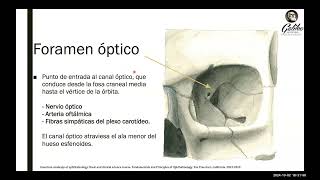 Anatomia Ósea de la Órbita [upl. by Eijneb89]